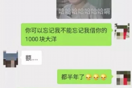 雄安新区专业讨债公司有哪些核心服务？